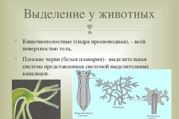 Kraken домен