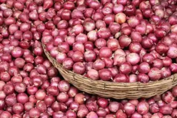 Где найти рабочую ссылку на кракен