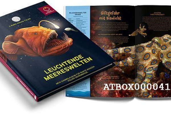 Почему не могу зайти на кракен