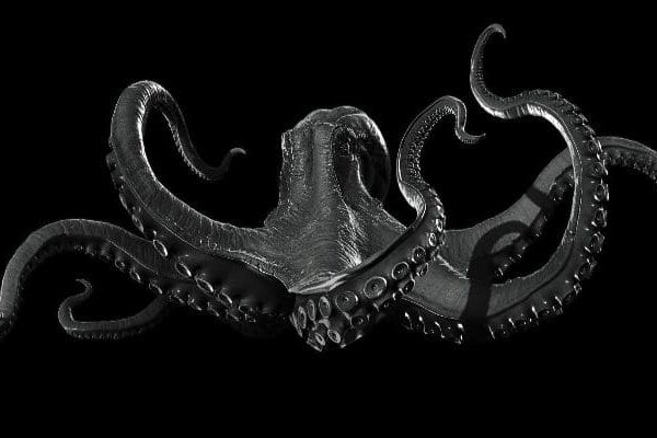 Kraken рабочее зеркало