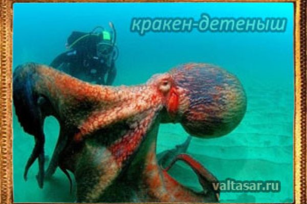 Кракен зеркало тор