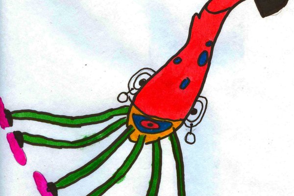 Kraken 25at