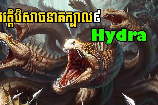 Kraken ссылка onion 2kmp