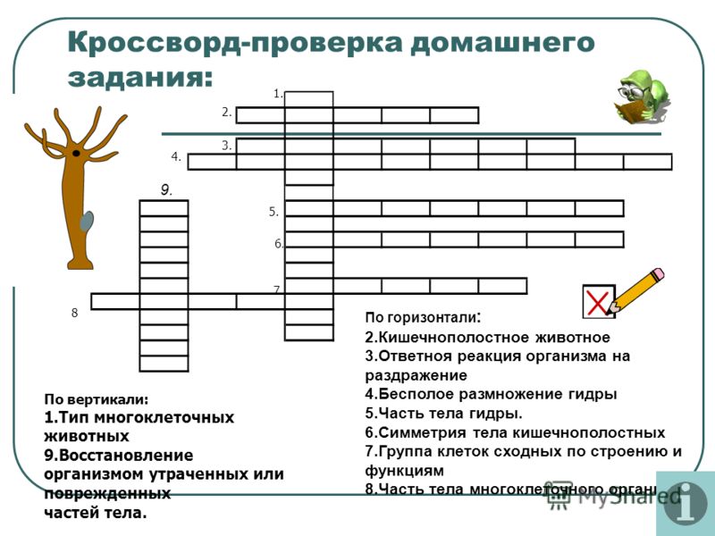 Кракен даркнет зеркало пв